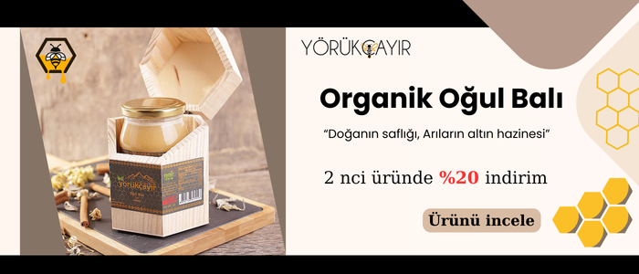 Organik oğul balı