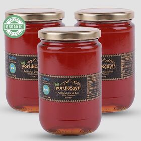 Yörükçayır Organik Polifloralı Bal 3 lü Kampanya