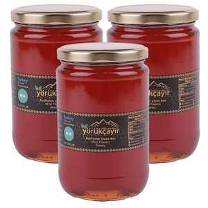 Yörükçayır Organik Polifloralı Bal 3 lü Kampanya